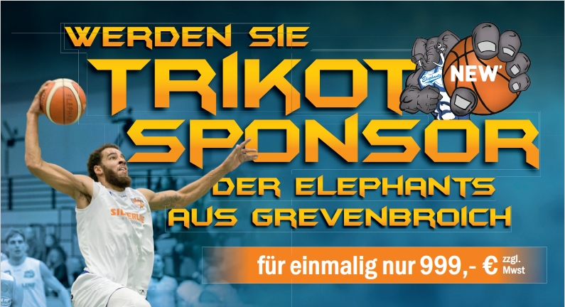 Trikotsponsor Bild