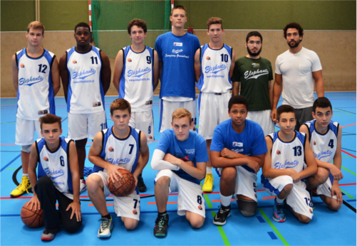 u18 elephants 500